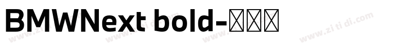 BMWNext bold字体转换 BMWNext bold字体转换